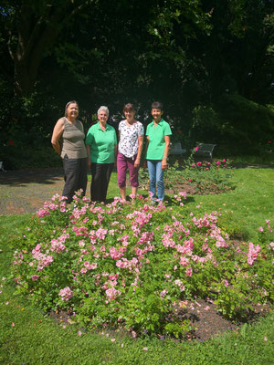 Rose „LandFrauen“ im Stadtgarten Karlsruhe